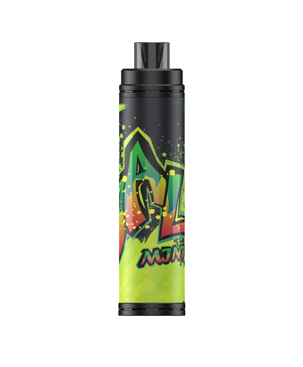 Vaal Max Disposable Kit 4500 Puffs 850mAh