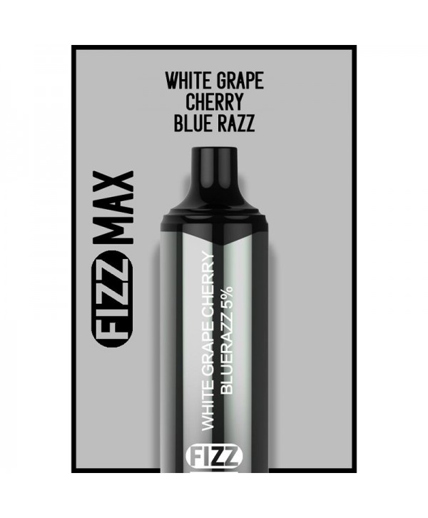 FIZZ Max Disposable Vape Kit 3000 Puffs 10ml