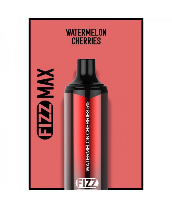 FIZZ Max Disposable Vape Kit 3000 Puffs 10ml