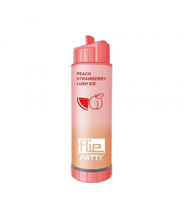 Flie Fatty Rechargeable Disposable Kit 8000 puffs 16ml
