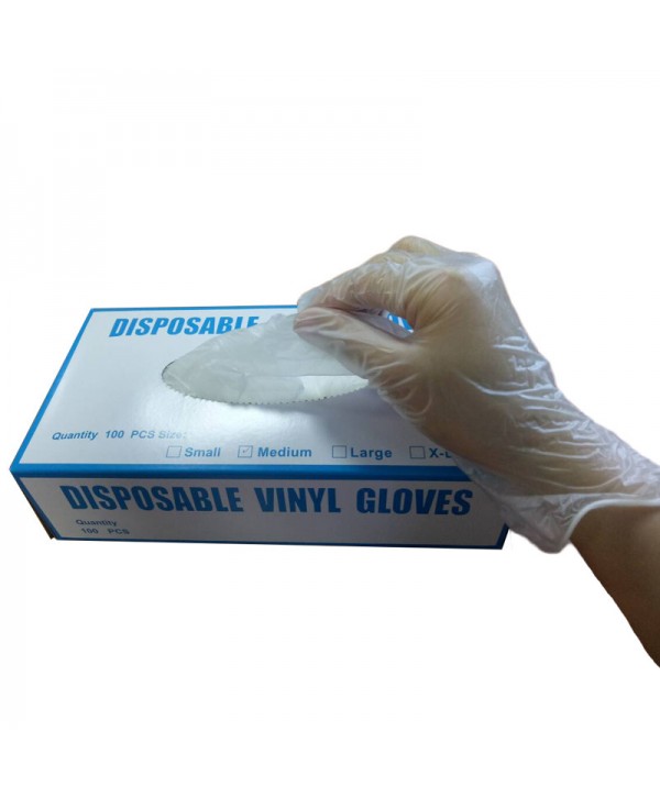 Disposable Transparent PVC Gloves (100pcs/pack)